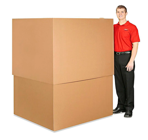 StoragePRO Extra-Large Box